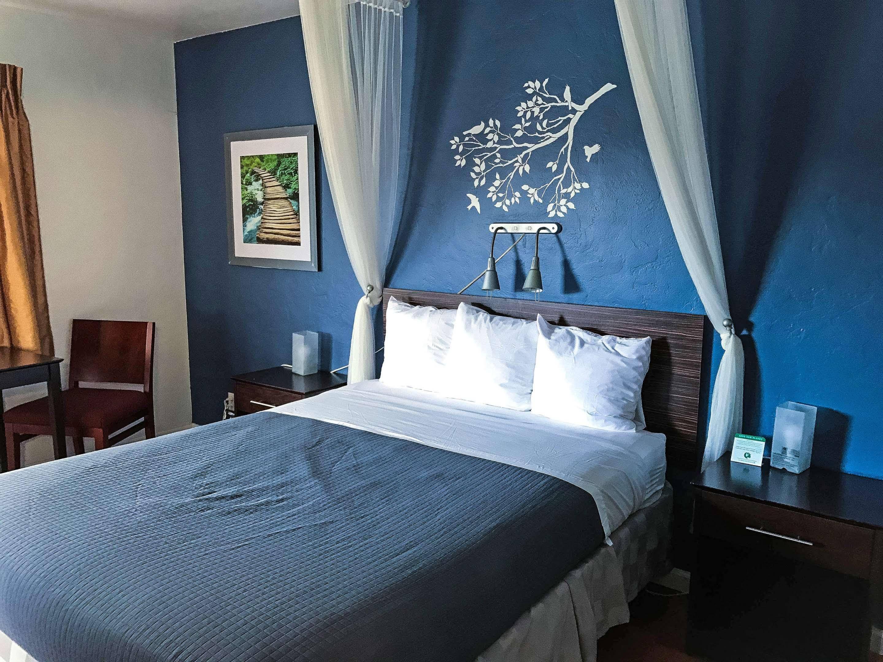 Golden Bear Hotel - Surestay Collection By Best Western Berkeley Exterior photo